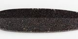 Dark Purple, Spiderweb Dinosaur Bone (Gembone) Spear Pendant #54093-2